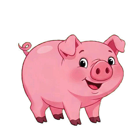 Pig no