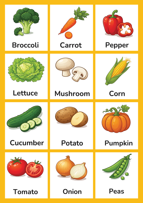 A colorful set of 12 printable vegetable vocabulary flashcards for preschool and kindergarten ESL learners. Features realistic illustrations of carrot, tomato, potato, onion, corn, pepper, broccoli, cucumber, peas, lettuce, mushroom and pumpkin. Perfect for building healthy food vocabulary in the classroom.